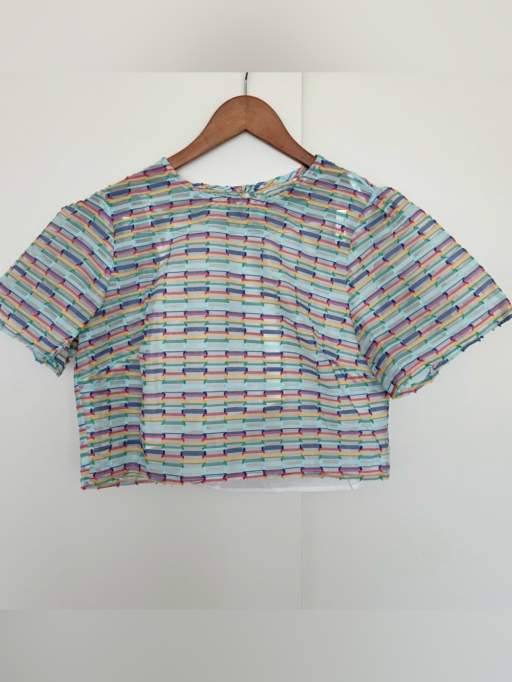 Vintage Sheer Organza Puff Sleeve Shell Lined Rainbow Crop Top M/L